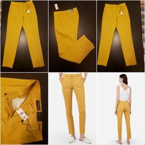 Dress Pants